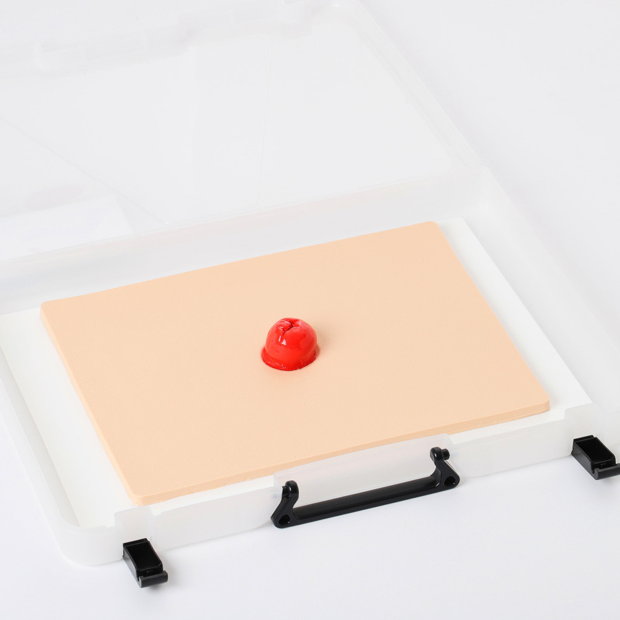 ストーマケア演習用モデル III型 | 日本スリービー・サイエンティフィック