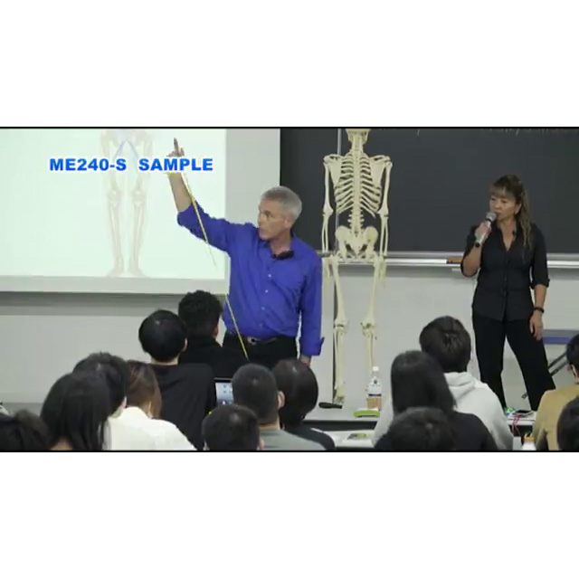 トム ・ マイヤーズ Anatomy Trains セミナー2018 筋膜の