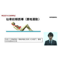 四肢と体幹の運動連鎖に基づく評価と治療の展開