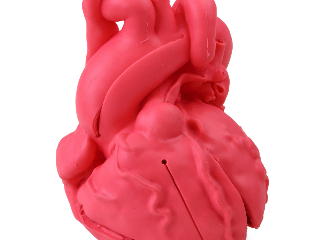 心臓 0d00afc3485655e31d66aefc9cc956