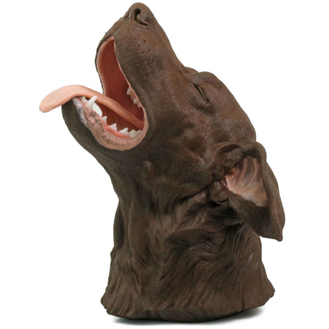 イヌの口腔シミュレーション模型