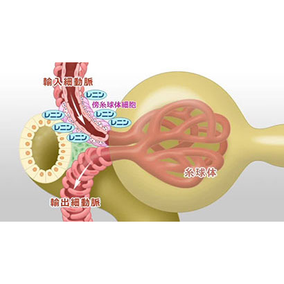 内部環境の維持