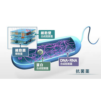 感染症の治療薬