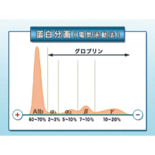 血液生化学検査