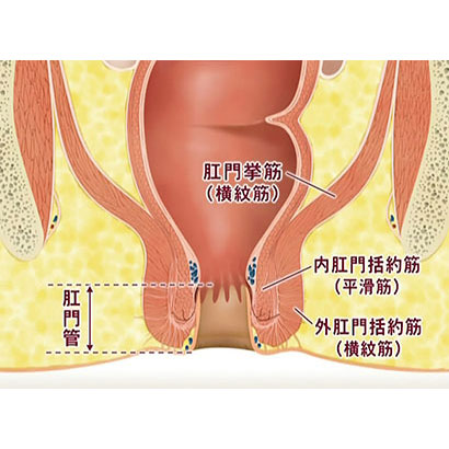 排便障害