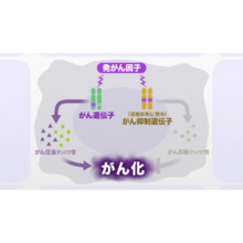 Vol.3 主な疾患と薬（２）