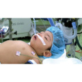 Vol.6 膀胱尿管逆流で手術を受けた小児の看護事例