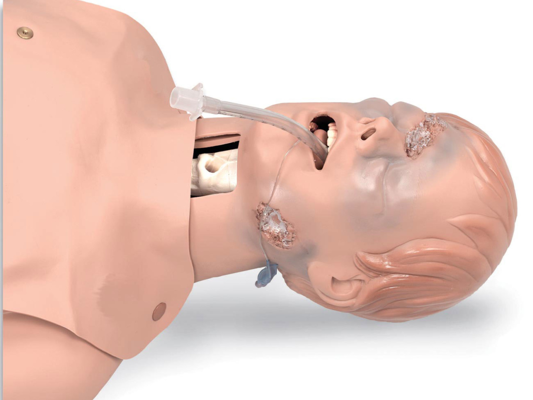 重度外傷付き成人気道管理トレーナー | 日本スリービー・サイエンティ