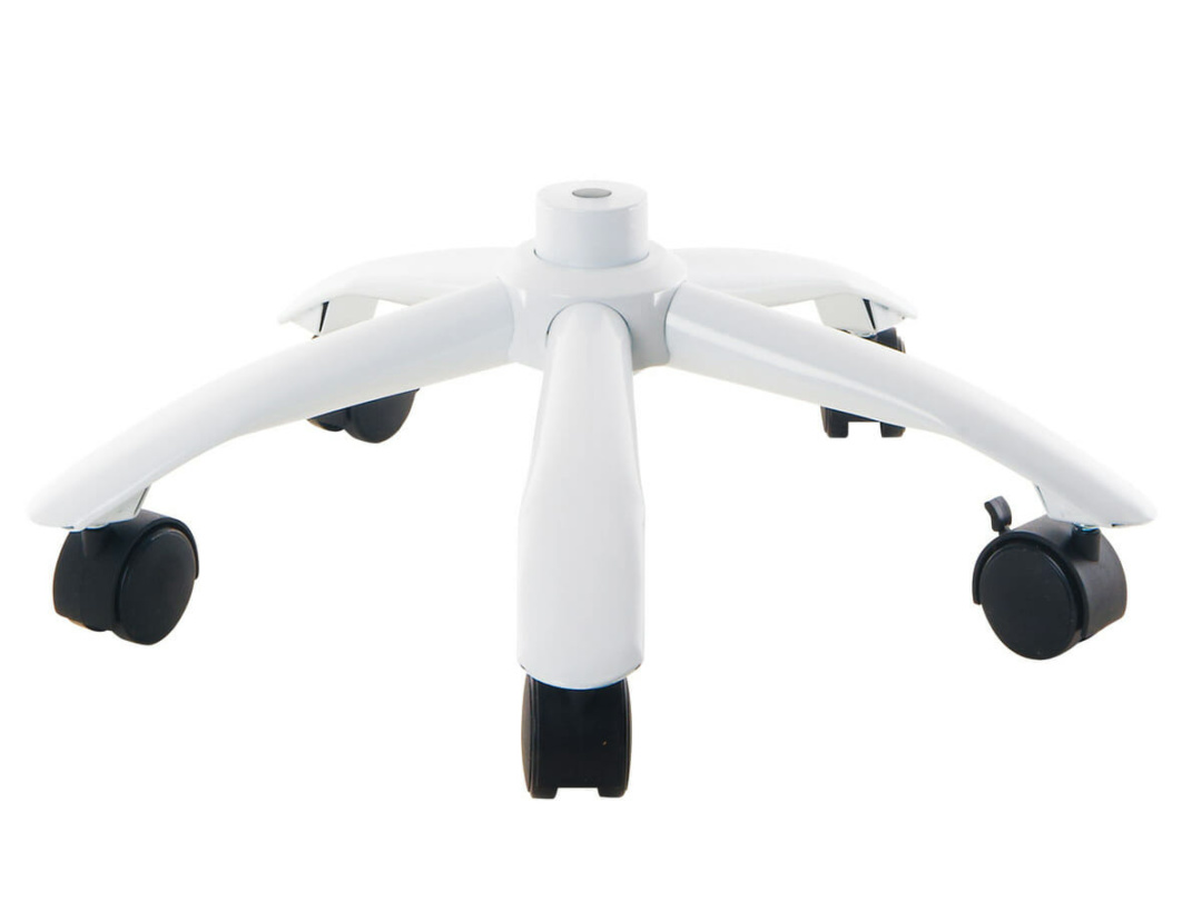 VEVOR Human Body Model, 23 Parts 18 inch, Human Torso
